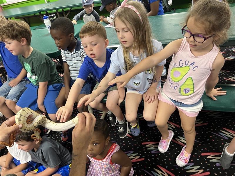 Brooklyn Children's Day Camps